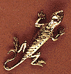 Sand Digger Lizard - Click Image to Close