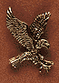 Small Landing Eagle - Click Image to Close