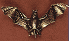 Bat - Click Image to Close