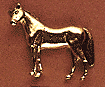 Standing Quarter Horse