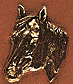 Quarter Horse Head - Click Image to Close