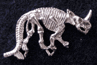 Triceratops Skeleton - Click Image to Close