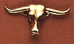 Steer Head - Click Image to Close