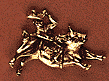 Bull Rider Scatter Pin