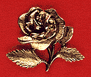 Rose Scatter Pin