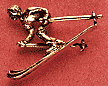Skier Scatter Pin