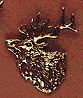 Elk Head