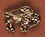 Buffalo Nickel Buffalo Nickel