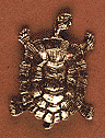Large Turtle