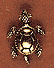 Small Turtle