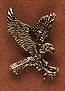 Small Landing Eagle