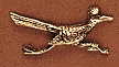 Medium Size Roadrunner
