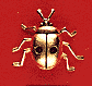 Ladybug Ladybug