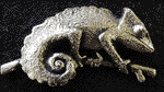 Chameleon Chameleon