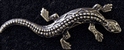 Fancy Gecko