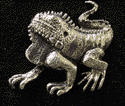 Iguana Iguana
