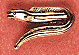 Moray Eel Scatter Pin
