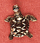 Sea Turtle Scatter Pin