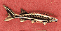 Sturgeon Scatter Pin