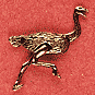 Ostrich