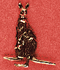 Kangaroo Kangaroo