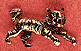 Small Tiger Small Tiger