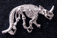 Triceratops Skeleton