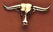 Steer Head