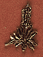 Yucca Scatter Pin