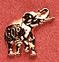 GOP Elephant
