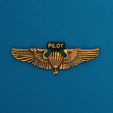Small Pilot Wings Pin with "PILOT" - 2.5"